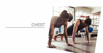 Chest