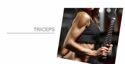 Triceps