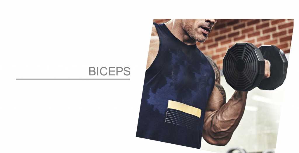 Biceps