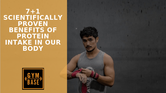 7 + 1 Scientifically Proven Benefits of Protein Intake in Our Body