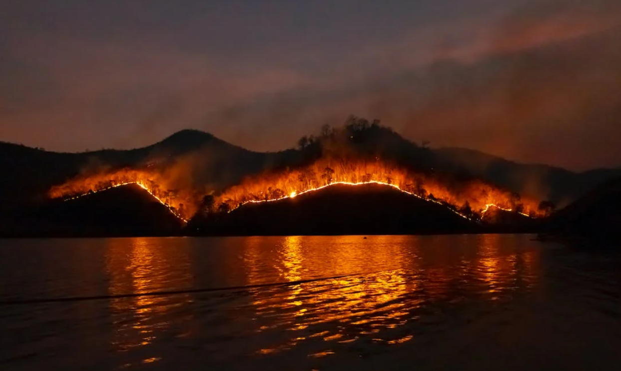 Πυρκαγιές επηρεάζουν ψυχολογικά ενήλικες, παιδιά και εφήβους