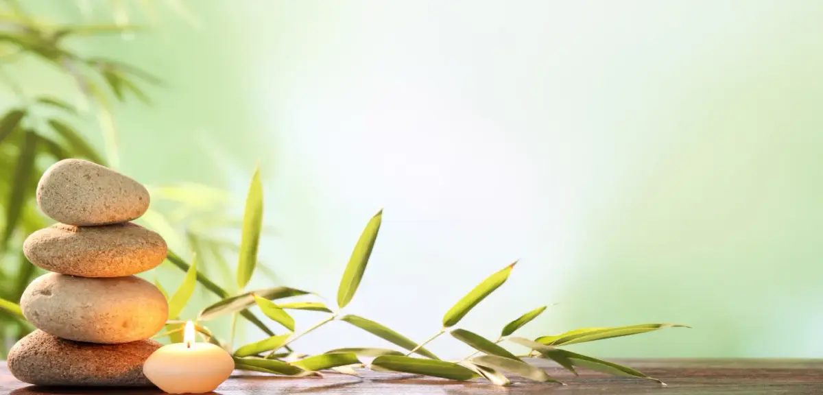 Wellness Specialist Certification